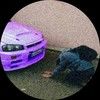 bumblebeesg8293